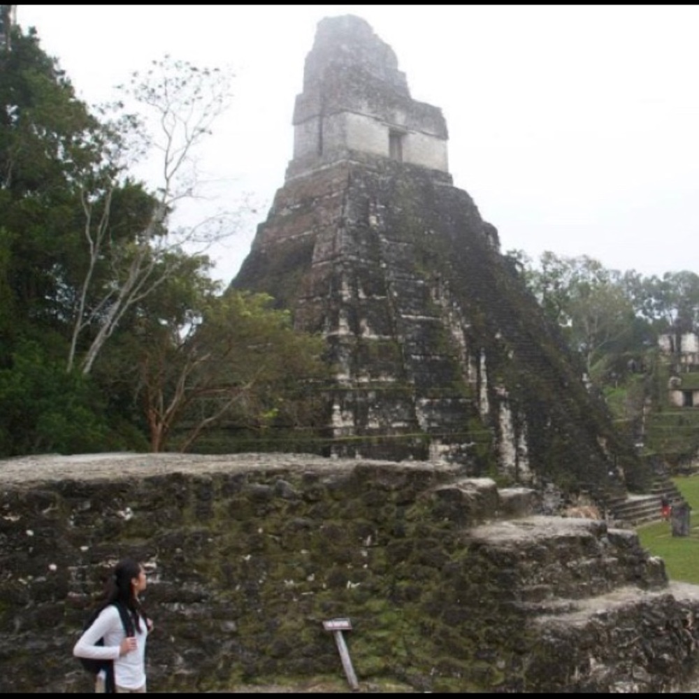 Meet your Posher, FrenchFry5000